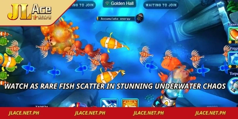 Watch as rare fish scatter in stunning underwater chaos